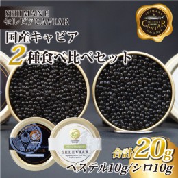 【ふるさと納税】キャビア2種セット計20g（ベステル10ｇ・シロ10ｇ）