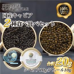 【ふるさと納税】キャビア2種セット計20g（シベリア10ｇ・アムール10ｇ）