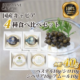 【ふるさと納税】キャビア4種食べ比べセット計40g（4種各10g）