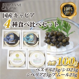 【ふるさと納税】キャビア4種食べ比べセット計100g（4種各25g）