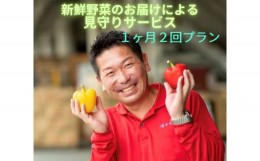 【ふるさと納税】新鮮野菜のお届けによる見守りサービス（１ヶ月２回お届け）  一人暮らし　笑顔と共に　家族愛　見守り　新鮮野菜　　