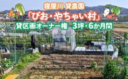 【ふるさと納税】寝屋川農園「びお・やちゃい村」貸区画オーナー権 (3坪・6か月間)｜貸し農園 家庭菜園 自家栽培 収穫体験 農業体験 果物