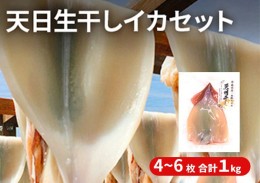 【ふるさと納税】イカ 青森県産 一本釣りいか 使用 鰺ヶ沢 名物 天日生干しイカ セット （1Kg以上3枚〜5枚入り） いか 干物 干物セット 