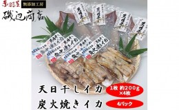 【ふるさと納税】イカ 生干しイカ 4枚（1枚約200g×4枚） 炭火焼きイカ 4パック いか セット 干物 干物セット するめ スルメ スルメイカ 