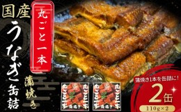 【ふるさと納税】うなぎ蒲焼き丸ごと一本缶詰【蒲焼缶詰 x 2本】 Esu-123 国産 うなぎ 蒲焼 鰻 塩鰻 ウナギ 海産物 ギフト 贈答 贈り物 