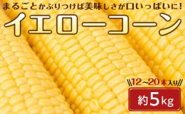 【ふるさと納税】とうもろこし イエローコーン 約5kg ( 12 〜 20本 )