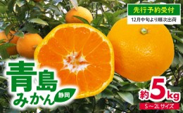 【ふるさと納税】【 先行予約 : 2024年12月中旬発送予定 】 静岡県産 青島 みかん S〜2L 約 5kg 果物 国産 フルーツ 柑橘 蜜柑 ミカン ビ