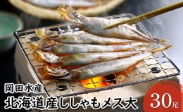 【ふるさと納税】北海道産ししゃもメス大30尾 北海道 稀少 魚シシャモ メス おつまみ