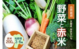 【ふるさと納税】＜京都産＞野菜と赤米のセット 【086-01】