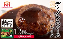 【ふるさと納税】極み焼きハンバーグ（デミグラスソース）セット定期便6か月 定期便 