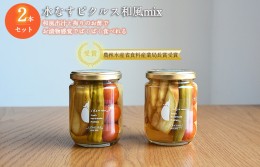 【ふるさと納税】【いずみピクルス】水なすピクルス和風MIX 2本セット