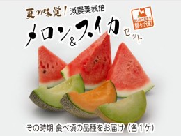 【ふるさと納税】【先行予約2024年産】夏の味覚！津軽産 減農薬栽培「メロン＆スイカ」セット（各1ケ）