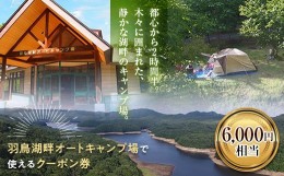 【ふるさと納税】羽鳥湖畔オートキャンプ場で使えるクーポン券（6,000円相当） F21T-167