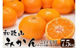 【ふるさと納税】みかん 和歌山産 【訳あり】ミカン 7 . 5kg 【ご自宅用・サイズ不揃い・キズ等あり】