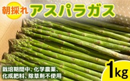 【ふるさと納税】栽培期間中農薬不使用！ 朝採れのアスパラガス 1kg 【2024年6月中旬以降順次発送】糸島市 / ？橋農園 [ANM001]