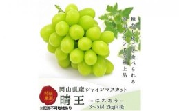 【ふるさと納税】ぶどう 2024年 先行予約 シャイン マスカット 晴王 3〜5房 2kg前後 （8月上旬〜9月下旬発送分） ブドウ 葡萄 岡山県産 