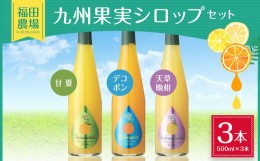 【ふるさと納税】九州 果実 シロップ セット 500ml×3本 甘夏 デコポン 天草晩柑