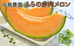 【ふるさと納税】【2024年7月〜発送】北海道 富良野市 ふらの赤肉 メロン 2kg×2玉 (中島農園) メロン フルーツ 果物 新鮮 甘い 贈り物 