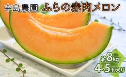 【ふるさと納税】【2024年7月〜発送】北海道 富良野市 ふらの赤肉 メロン 4〜5玉入り 計 約8kg (中島農園) メロン フルーツ 果物 新鮮 甘