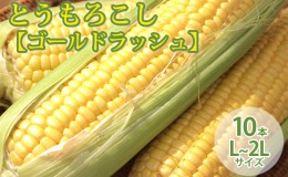 【ふるさと納税】【2024年8月〜発送】北海道 富良野産 とうもろこし ≪ゴールドラッシュ≫ L〜2Lサイズ 10本 沖縄 離島不可 (鷲見農園) 