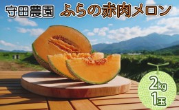 【ふるさと納税】【2025年7月中旬〜発送】北海道 ふらの 赤肉メロン 1玉入り 約2kg (守田農園) メロン フルーツ 果物 新鮮 甘い 贈り物 