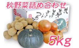 【ふるさと納税】【2024年9月下旬より発送】北海道 富良野産 野菜 5kgセット じゃがいも＆玉ねぎ＆かぼちゃ 3種 詰め合わせ (中山農園) 