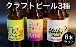 【ふるさと納税】６２１．クラフトビール３種６本セット※離島への配送不可