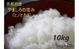 【ふるさと納税】＜京都産＞特別栽培米やましろの恵み（ヒノヒカリ）１０ｋｇ（５ｋｇ×２）　 【038-03】