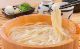 【ふるさと納税】【半生】うどん12人前(だし付)【グルメ杵屋】