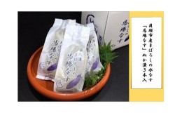 【ふるさと納税】貝塚市産まぼろしの水なす「馬場なす」ぬか漬３本入