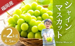 【ふるさと納税】【2024年8月下旬〜9月下旬発送】福岡県産シャインマスカット 約2kg 4~5房