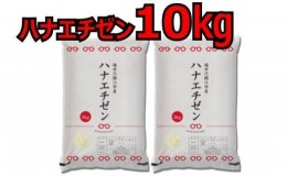 【ふるさと納税】【令和元年産　新米】ハナエチゼン　10kg 受付開始[D00344]