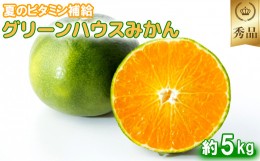 【ふるさと納税】今村農園のグリーンハウスみかん 約5kg【秀品】 みかん 柑橘 5kg 秀品 先行予約 7月 8月 フルーツ ＜107-012_5＞