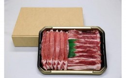 【ふるさと納税】国産豚豚肉スライスセット（ロース500g、バラ500g）