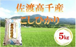 【ふるさと納税】佐渡産こしひかり 5kg