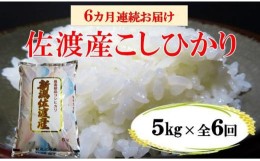 【ふるさと納税】【定期便】佐渡産高千産こしひかり 5kg【6ヶ月連続お届け】