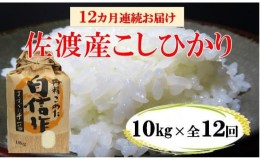 【ふるさと納税】【定期便】佐渡産高千産こしひかり 10kg【12ヶ月連続お届け】