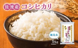 【ふるさと納税】無洗米佐渡産コシヒカリ（5kg）