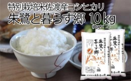 【ふるさと納税】佐渡産コシヒカリ 朱鷺と暮らす郷（10kg（5kg×2））