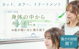 【ふるさと納税】No.289 （L）カット、カラー、トリートメント ／ 体験チケット サロン ロングヘア 愛知県