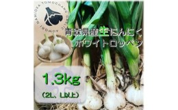 【ふるさと納税】生にんにく(玉、土付き)1.3kg【1387087】