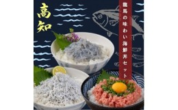 【ふるさと納税】龍馬の味わい海鮮丼セット