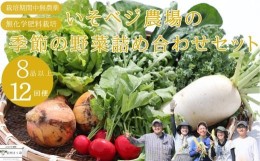 【ふるさと納税】いそベジ農場の季節の野菜詰め合わせセット　定期便　12回便〔IV-12〕