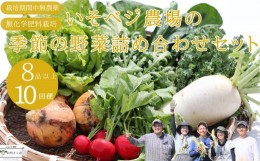 【ふるさと納税】いそベジ農場の季節の野菜詰め合わせセット　定期便　10回便〔IV-10〕