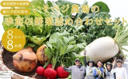 【ふるさと納税】いそベジ農場の季節の野菜詰め合わせセット　定期便　８回便〔IV-08〕