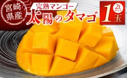 【ふるさと納税】宮崎特産品　宮崎県産完熟マンゴー　太陽のタマゴ　2L×1個_M275-003