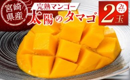 【ふるさと納税】宮崎特産品　宮崎県産完熟マンゴー　太陽のタマゴ　2L×2個_M275-004