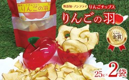 【ふるさと納税】りんごの羽（無添加・ノンフライりんごチップス）2袋セット 【野菜ソムリエサミット加工品部門 金賞】 『船中農園』 山