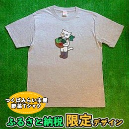 【ふるさと納税】野菜たっぷりTシャツ [AE01-NT]