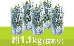 【ふるさと納税】【2024年10月中旬発送】丹波黒枝豆1.1kg×5(枝あり)